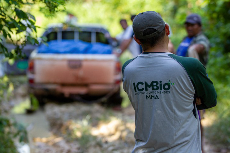 Operação Pasto Nullus: ICMBio apreende gado e enfrenta resistência em São Félix do Xingu